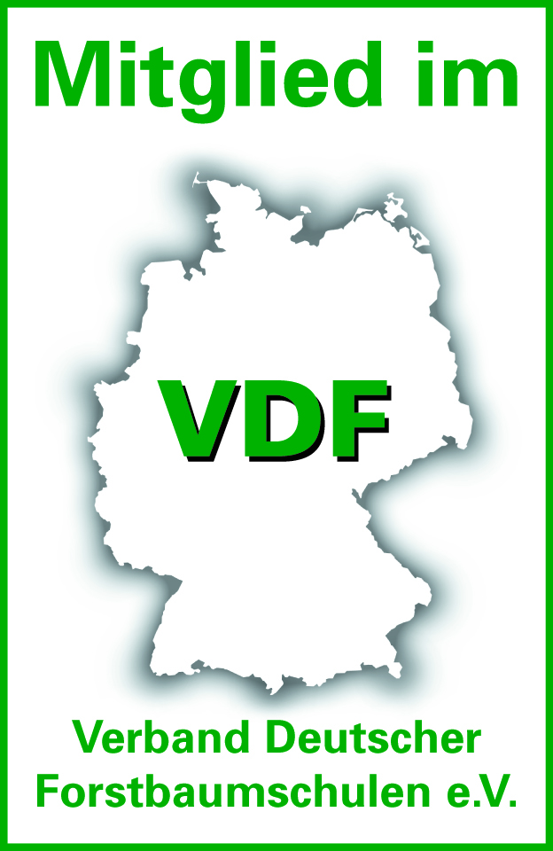 Logo VDF